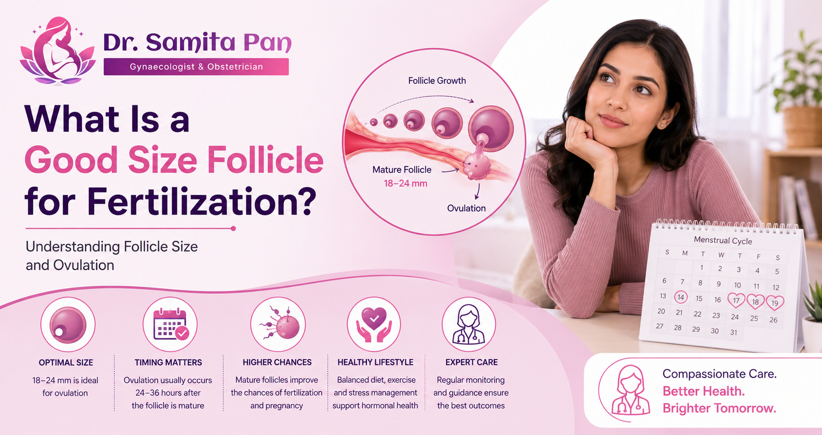 Good Follicle Size for Fertilization: Ovulation Guide
